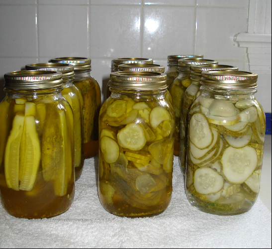 pregnant cat i want pickles. 10 quarts of pickles (three of